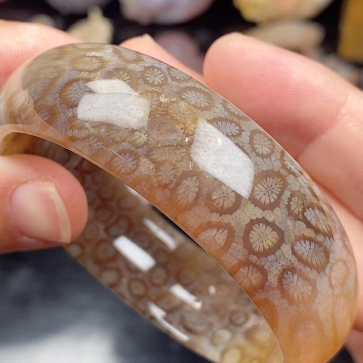 未镶嵌手镯硅化玉56.7