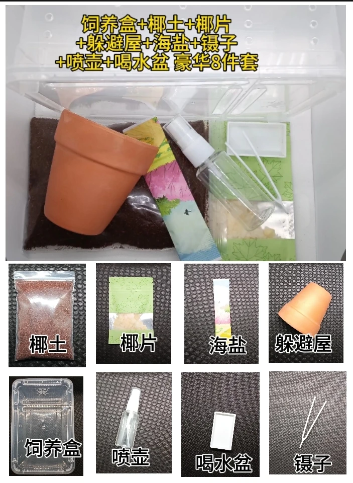 新手懒人寄居蟹豪华饲养套餐盒（送20只豆丁）