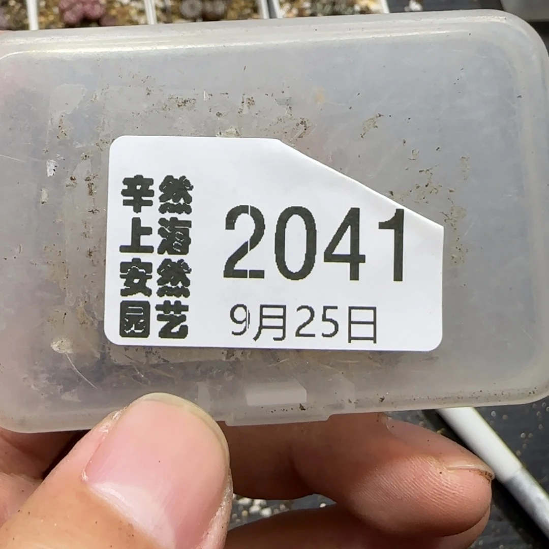 清***g9.25。  217清框福利。  2041