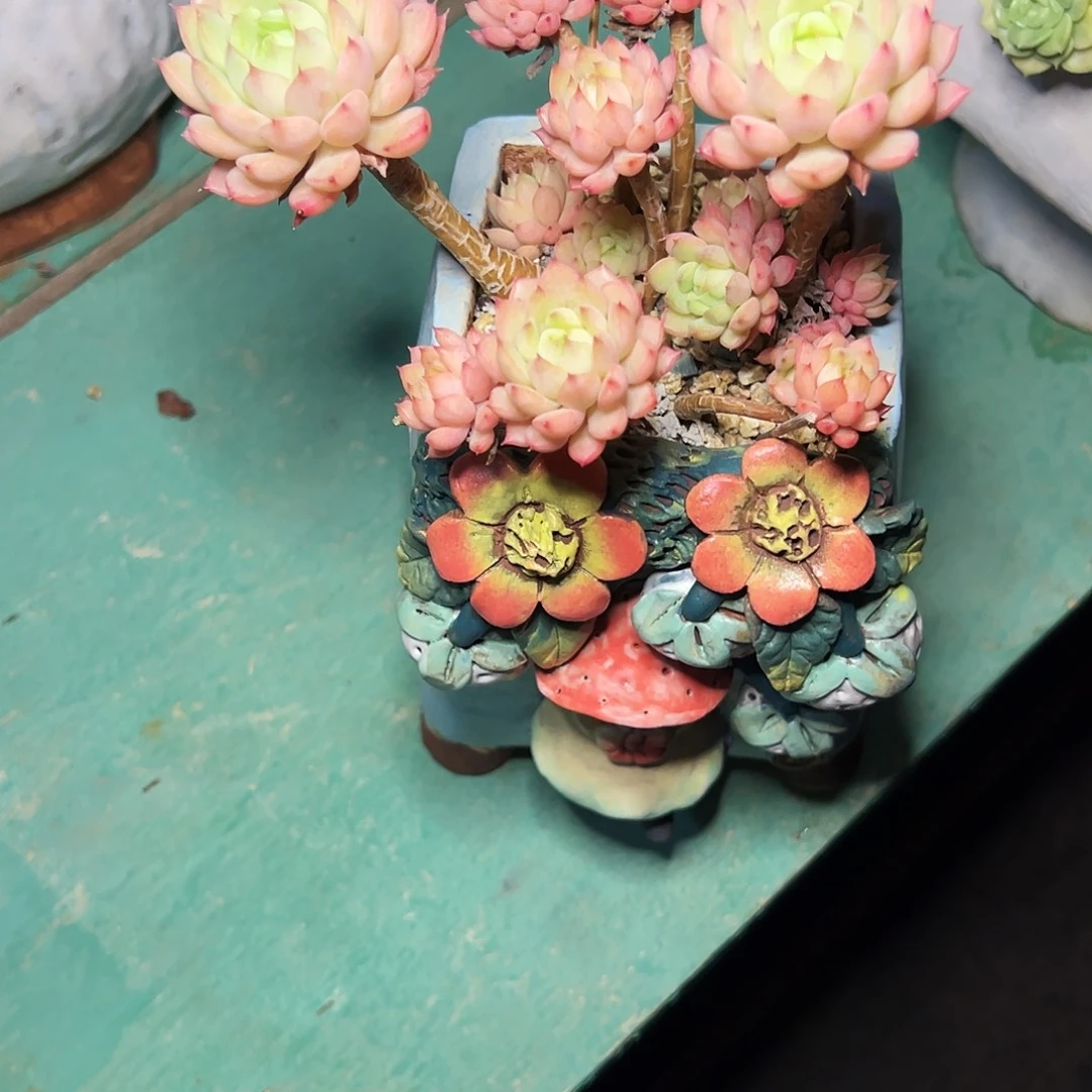 玛咖蒂迷娅1111111