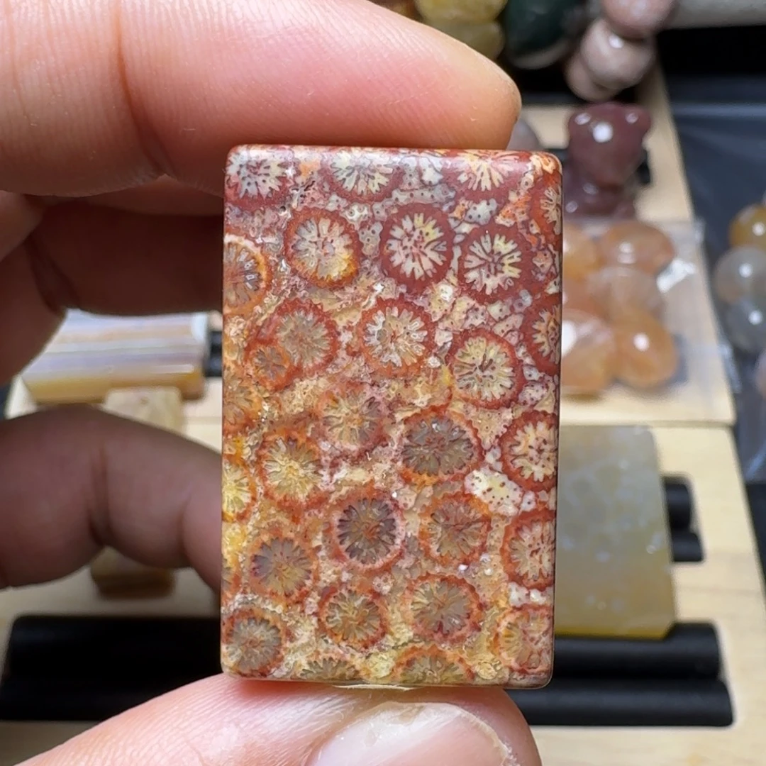 硅化玉未镶嵌纯天然色有机玉石保真色