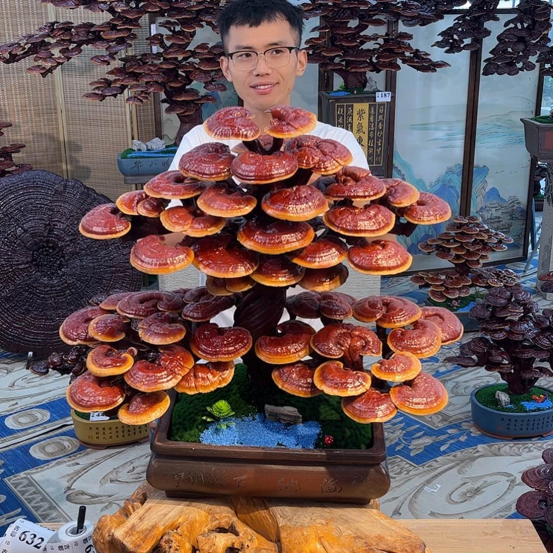 无花朵8888888888888