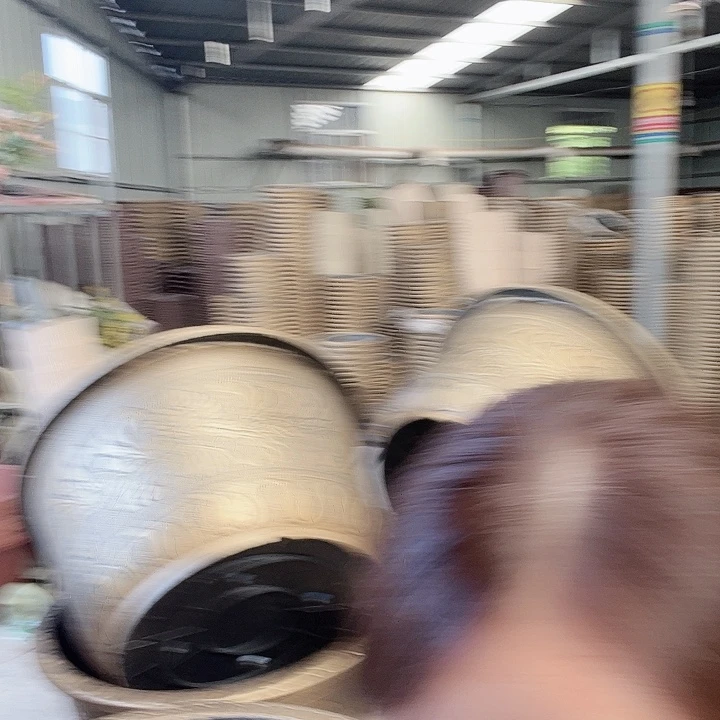 梅花照眼 依然旧风味