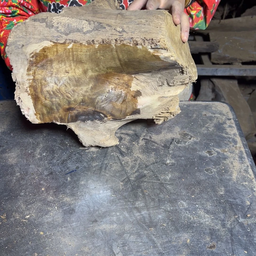 o***o金丝楠2222222222222222222