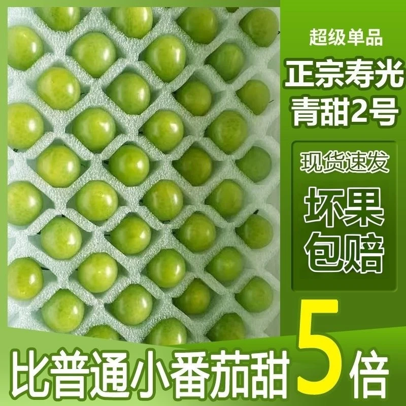 应季水果青甜二号小番茄千禧圣女果绿色小番茄圣女果多汁自然成熟