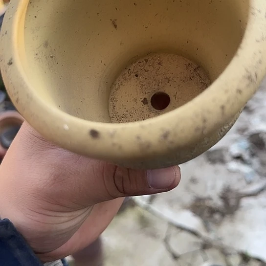 在我眼瞎也不会有一种说