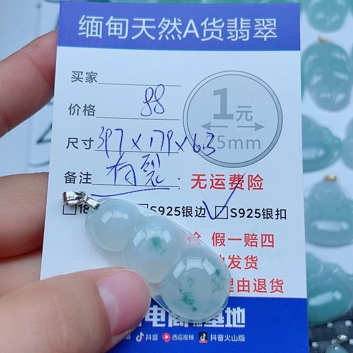 翡翠银S925镶嵌颈饰翡翠