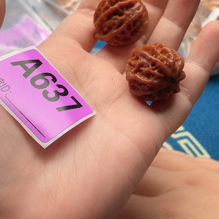 文玩核桃把件核桃