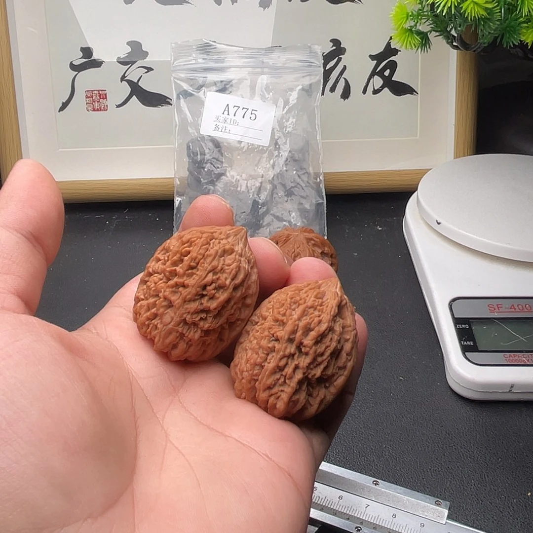 b***2A775蒜头核桃35尺