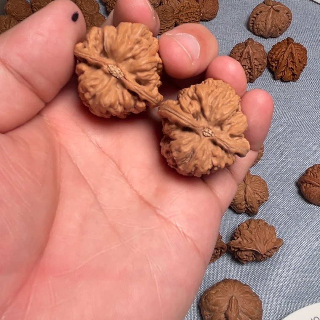 青***余核桃核桃核桃核桃