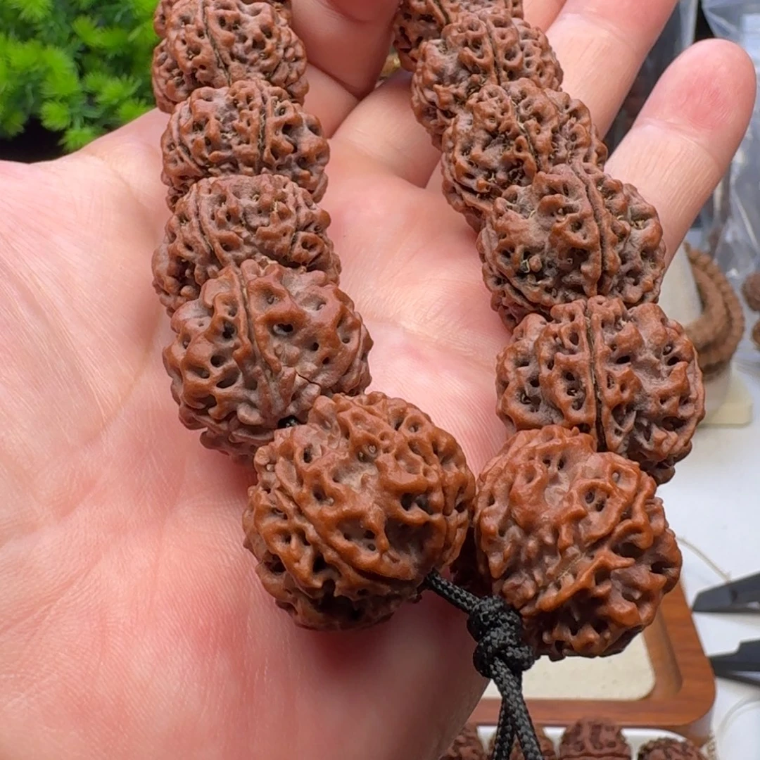 手串金刚菩提蜂窝双龙