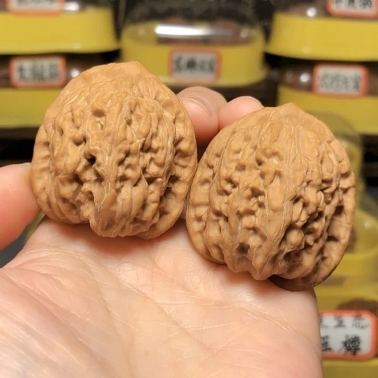 野生小众品将军令