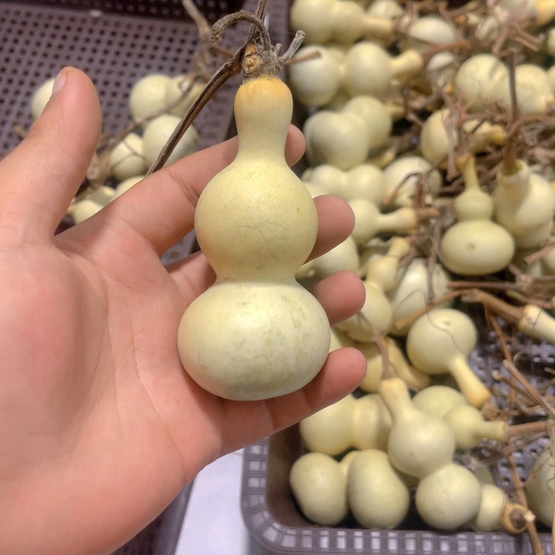 大***子感谢大哥支持兄弟，不保