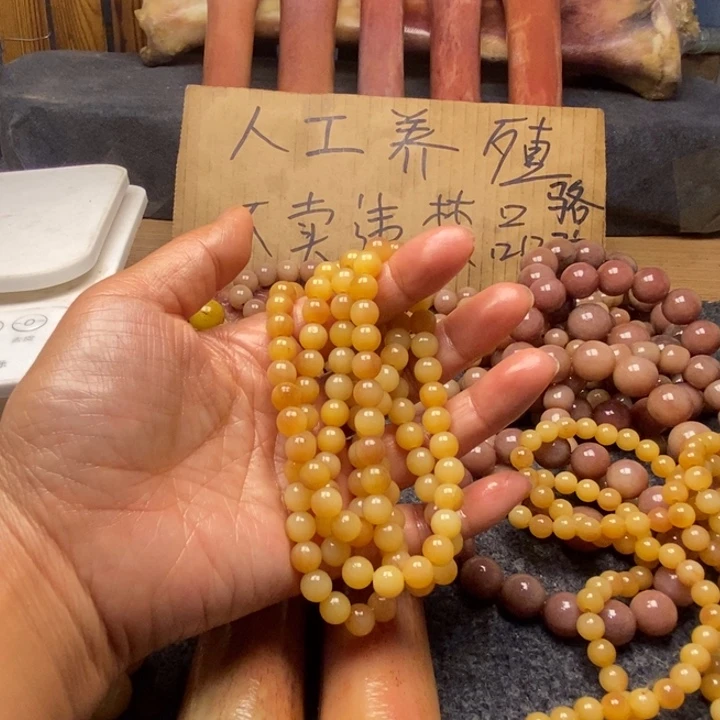 驼骨手串/手链7460854895