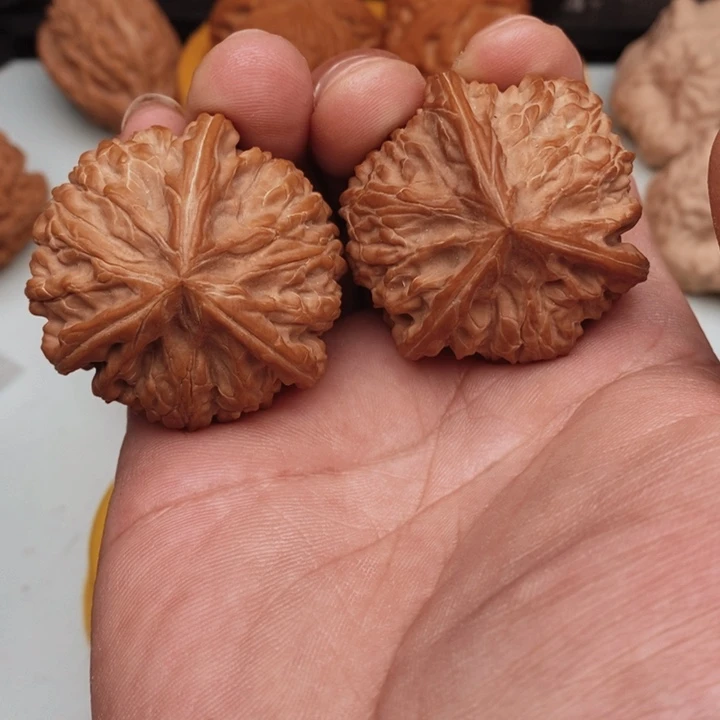 核桃凯*哥你好吗我好想你