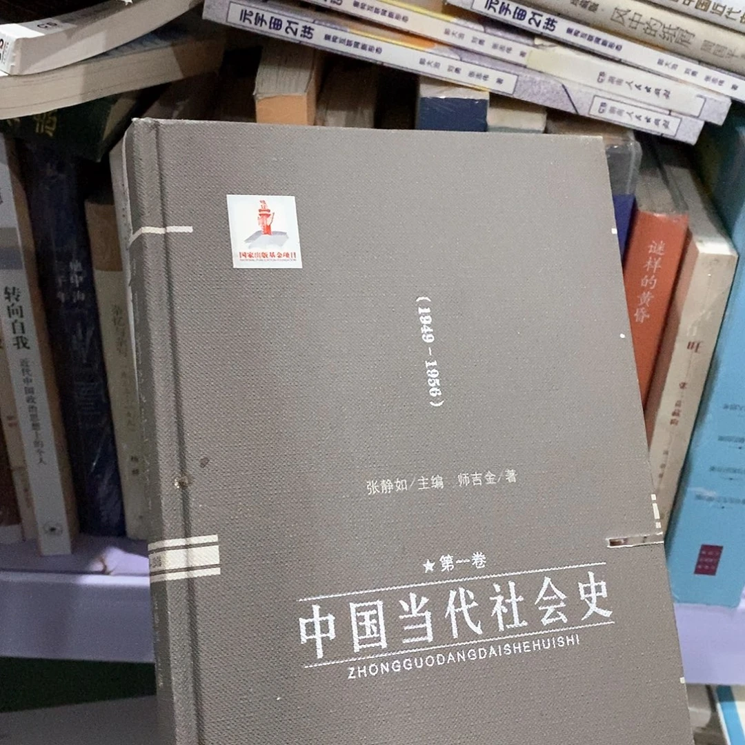 瑕疵锯口  中国当代社会史