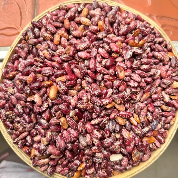 贵州酸菜豆米新花四季豆米粗粮煲粥伴侣