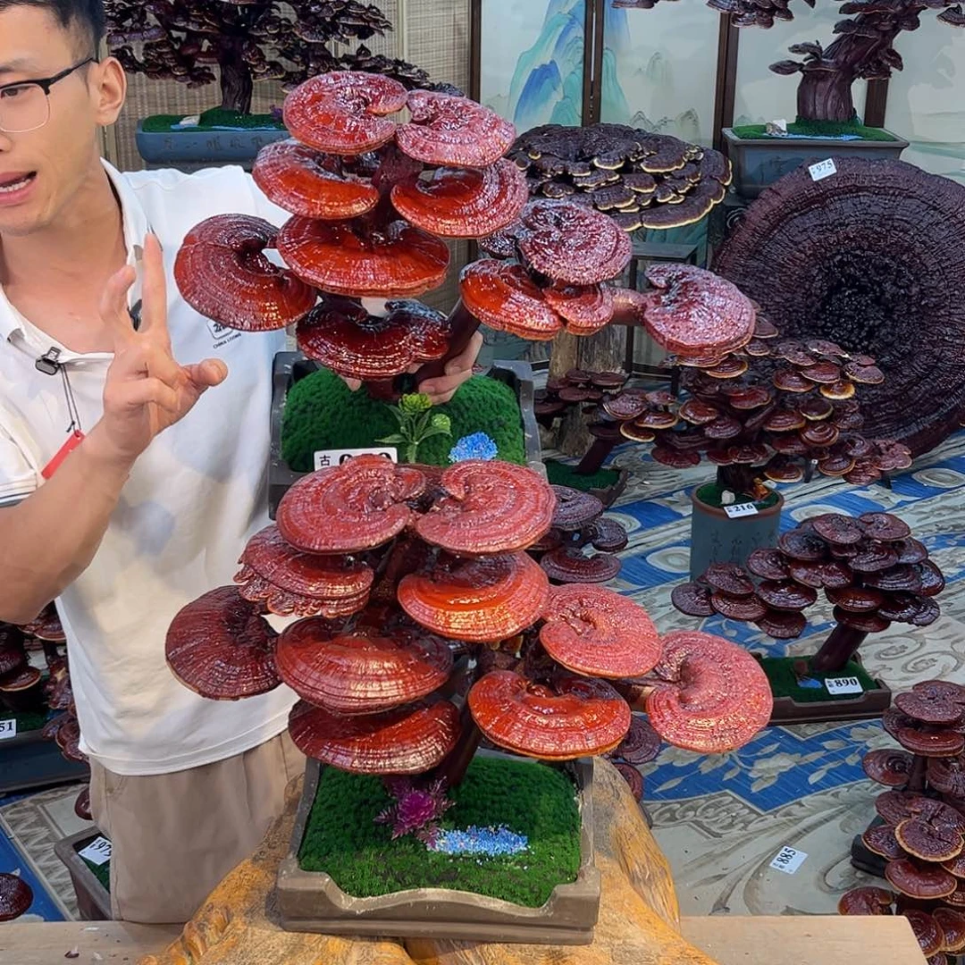 无花朵8888888888888888