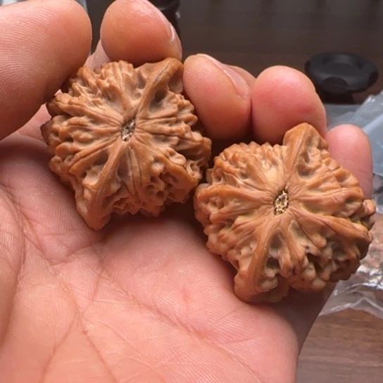 柏香籽/百香籽吊坠用****4