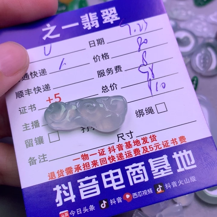 颈饰未镶嵌翡翠v**a