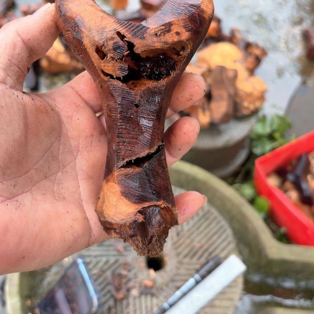 胜***直播间现拍 不退换 看好下单