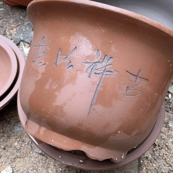 紫砂25/25平角金钟花盆