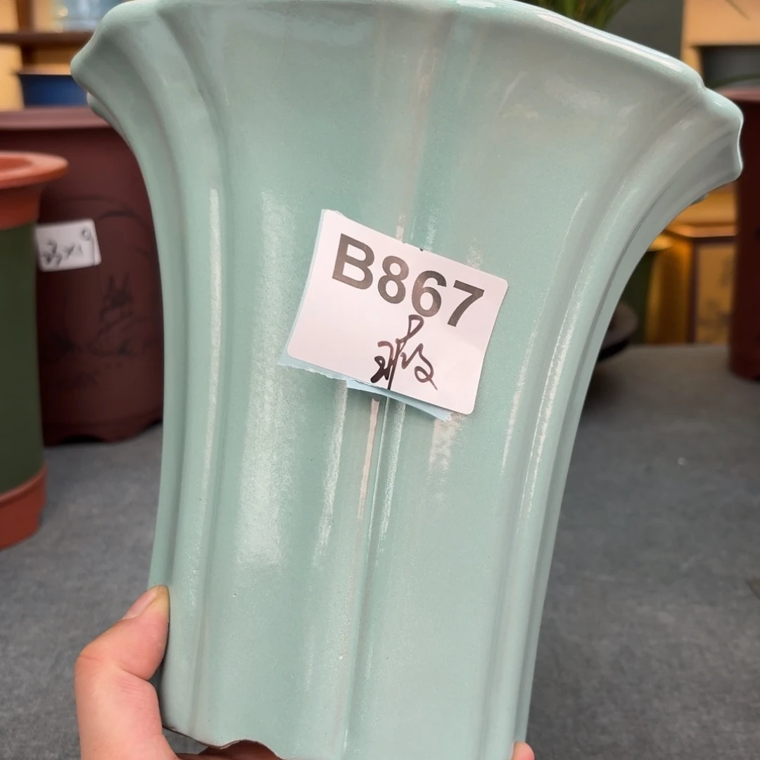 莽***尘紫砂花盆兰花5255589668896688