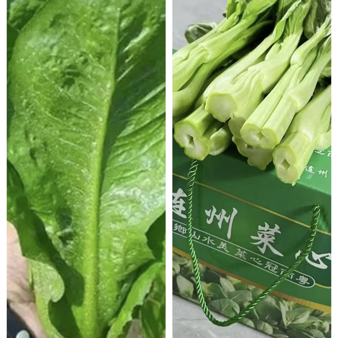 【3斤大条迟菜心+2斤本地甜生菜】净重5斤农家蔬菜发顺丰坏菜包赔