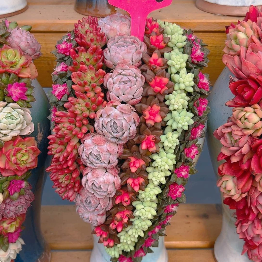 006流水瀑布蓝色盆