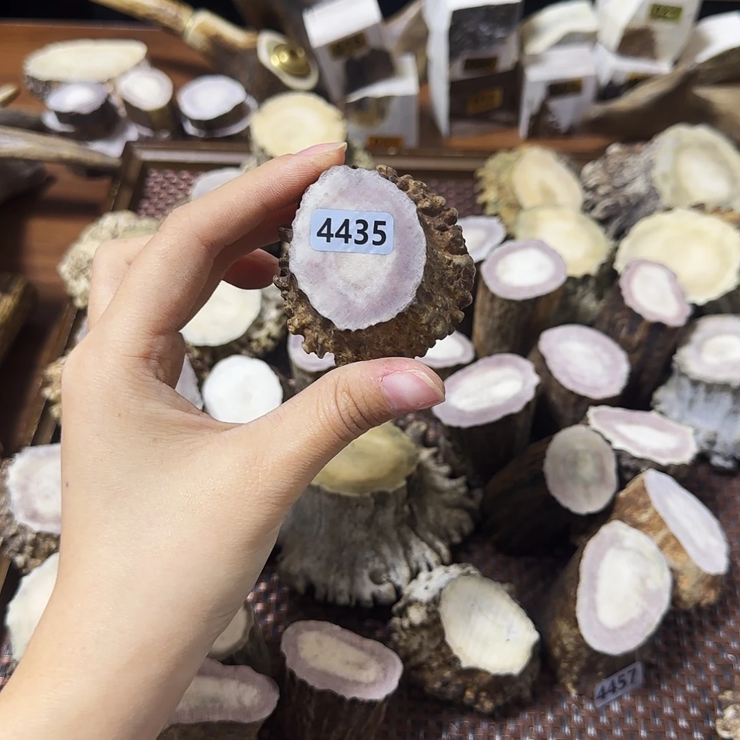 鹿骨手串/手链4435角帽