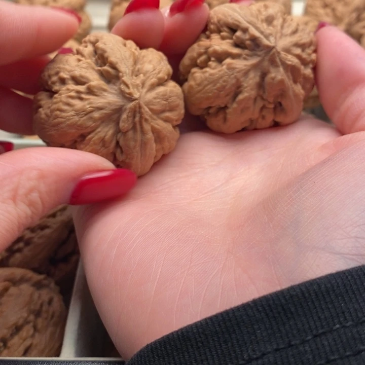 流***沙文玩核桃把件霸王龙