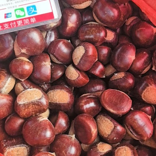 石台小李代购板栗运费到付