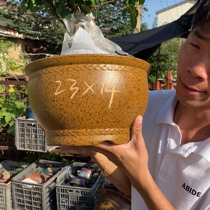 花盆紫砂没有什么不可以的事情