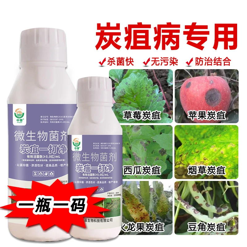 辣椒番茄西瓜土豆葡萄草莓苹果炭疽病专用瓜果蔬菜花卉中药材通用