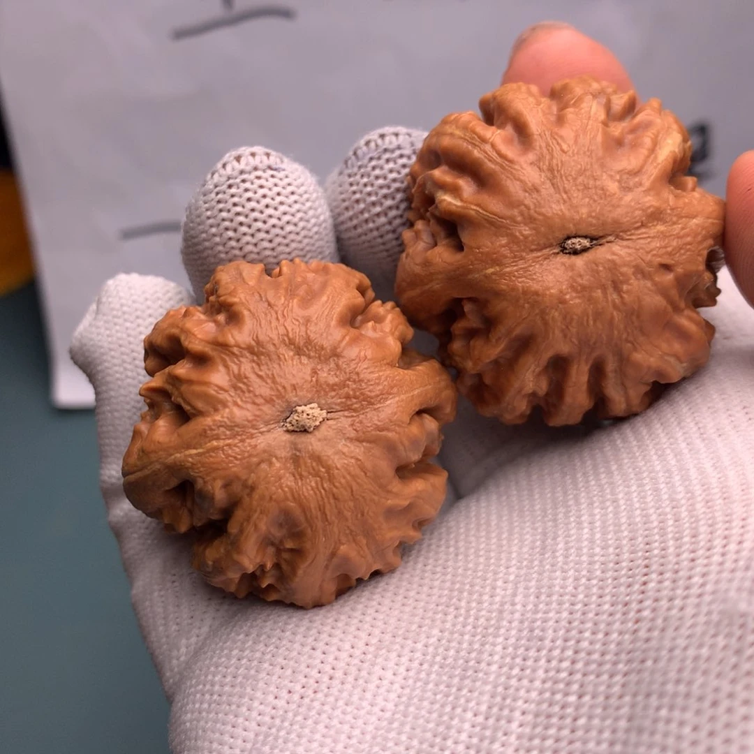 栩***苑文玩核桃吊坠霸王龙7