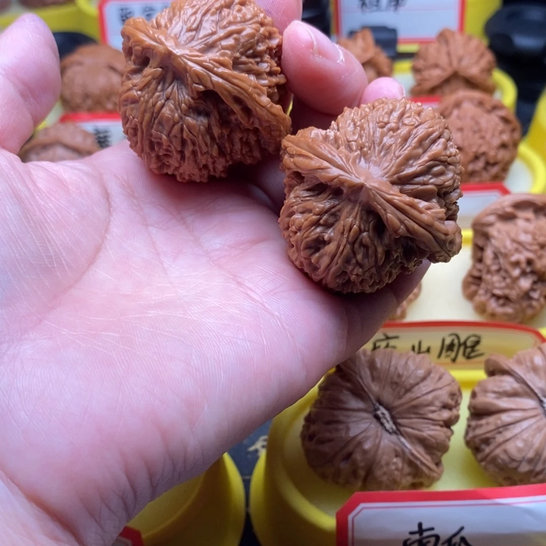 ****来菩提籽类三角疆三角疆