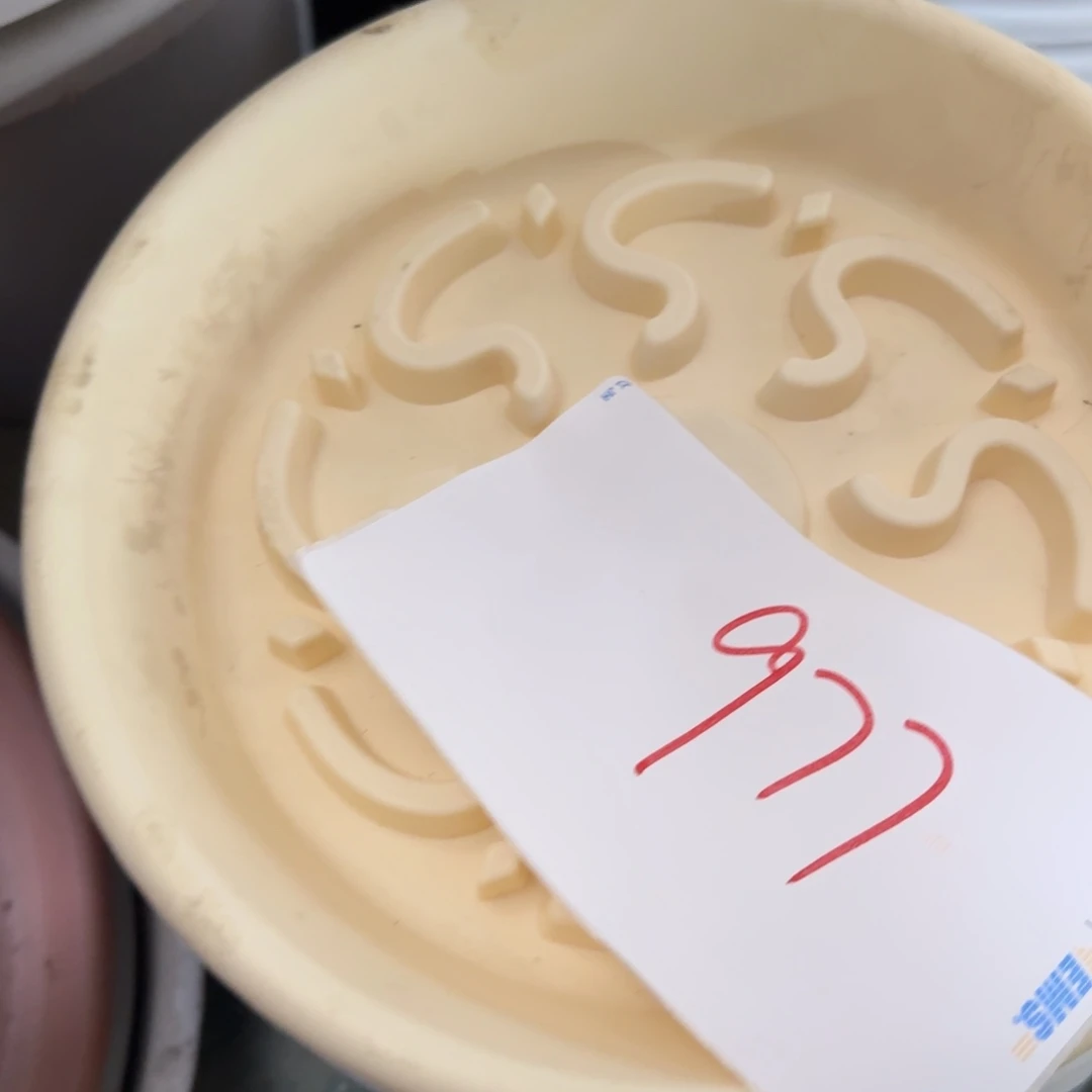 编号977微瑕托盘托盘