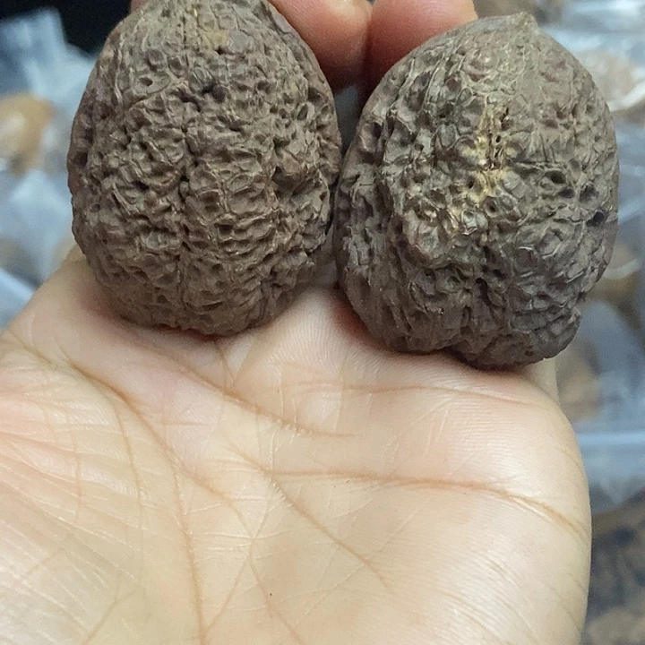 文玩核桃把件云南铁核桃基地41