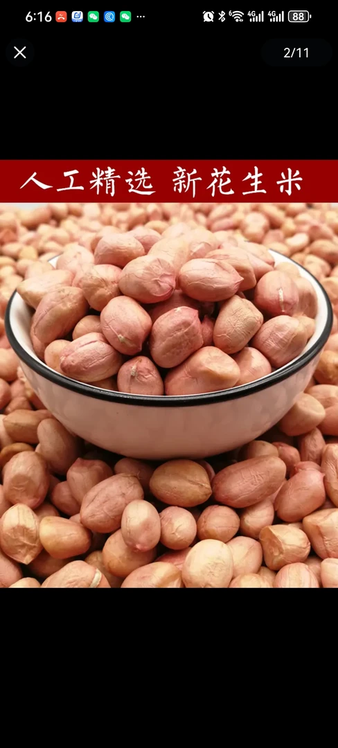 【3斤装】2024年新鲜精选中大颗粒南阳大白沙花生粉粉嫩嫩味美香甜