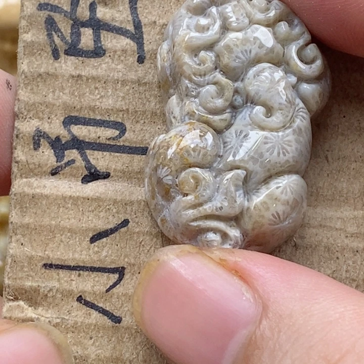 颈饰未镶嵌硅化珊瑚（珊瑚玉）A****y