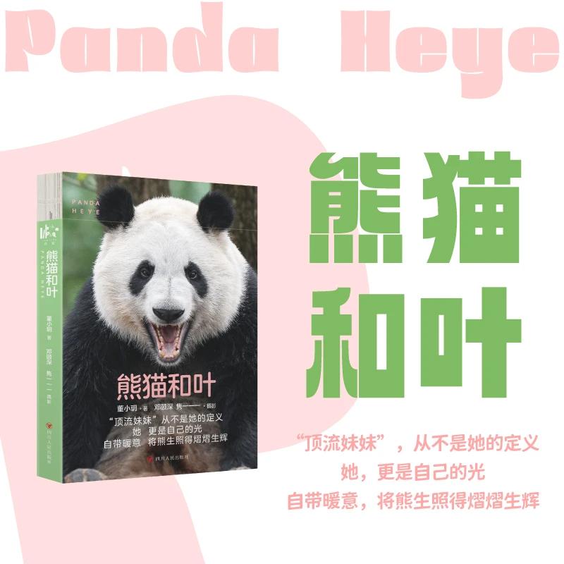 熊猫和叶 董小玥著 “顶流妹妹”从不是她的定义她更是自己的光 书