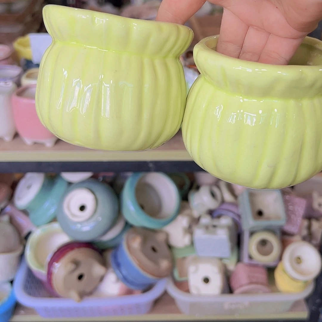 陶瓷花色的当场满12包邮