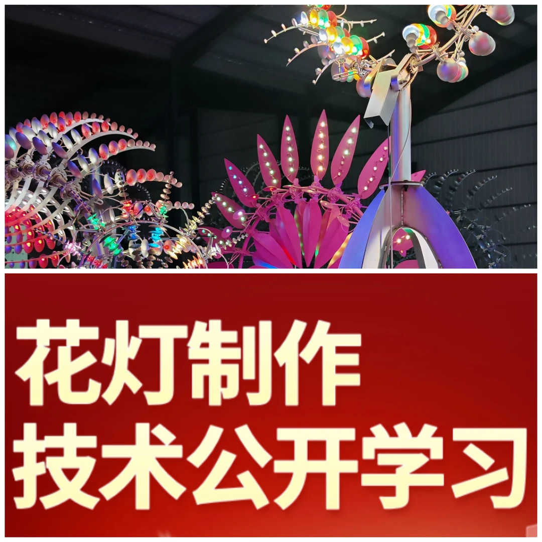 学习技术（户外防水装饰灯景观灯网红打卡花灯灯光秀新颖独特创意）