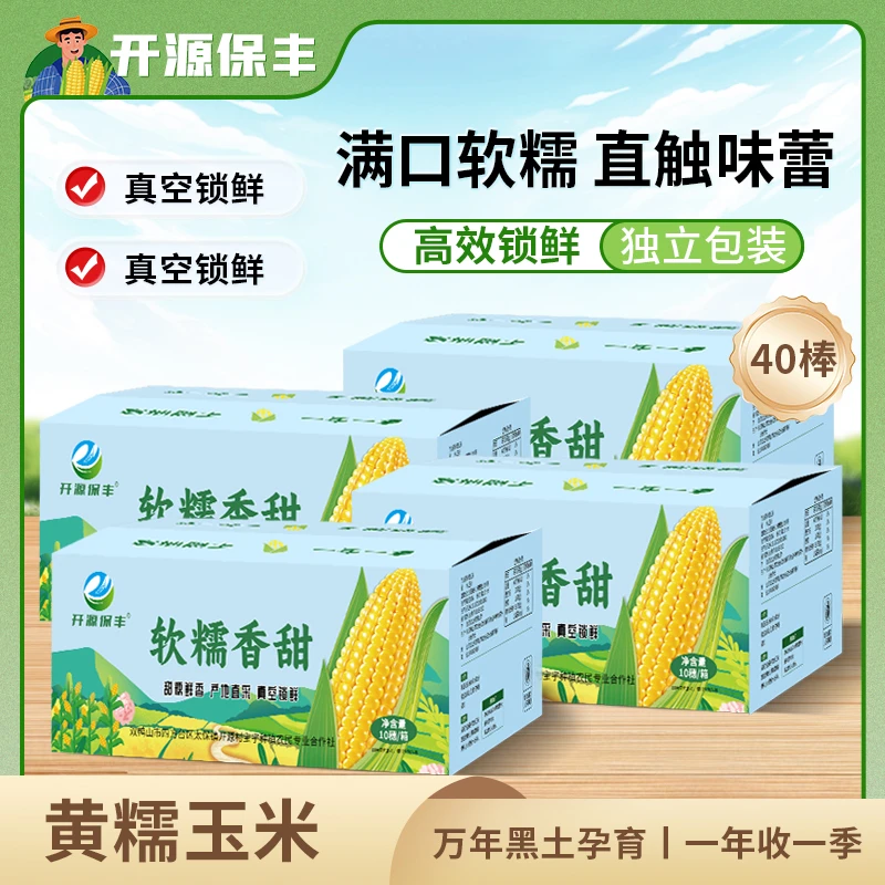 25年新玉米开源保丰黄糯玉米40支装东北新鲜低脂软糯香甜拉丝苞谷