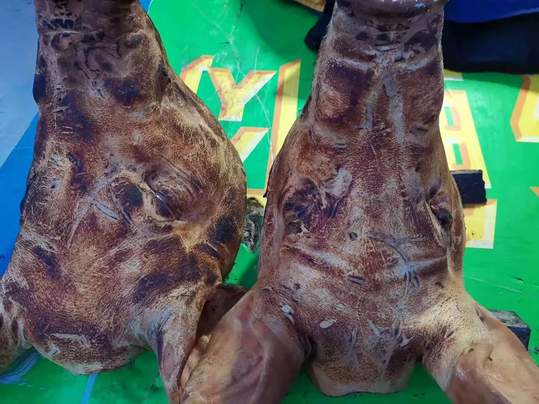 东北散养笨猪肉猪头整个