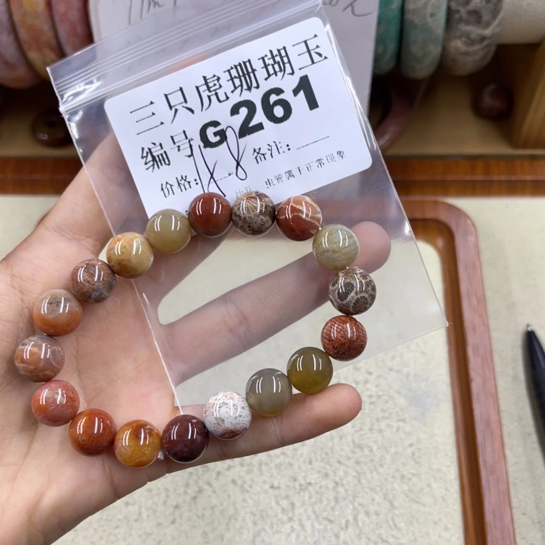 八***猫未镶嵌h硅化珊瑚（珊瑚玉）