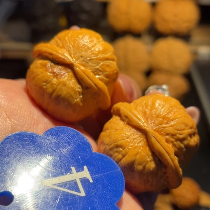 小星球核桃尺寸31