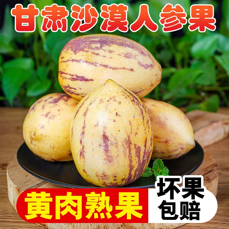 【清甜爆汁】甘肃民勤人参果净重4.5斤新鲜水果人生果当季现摘现发
