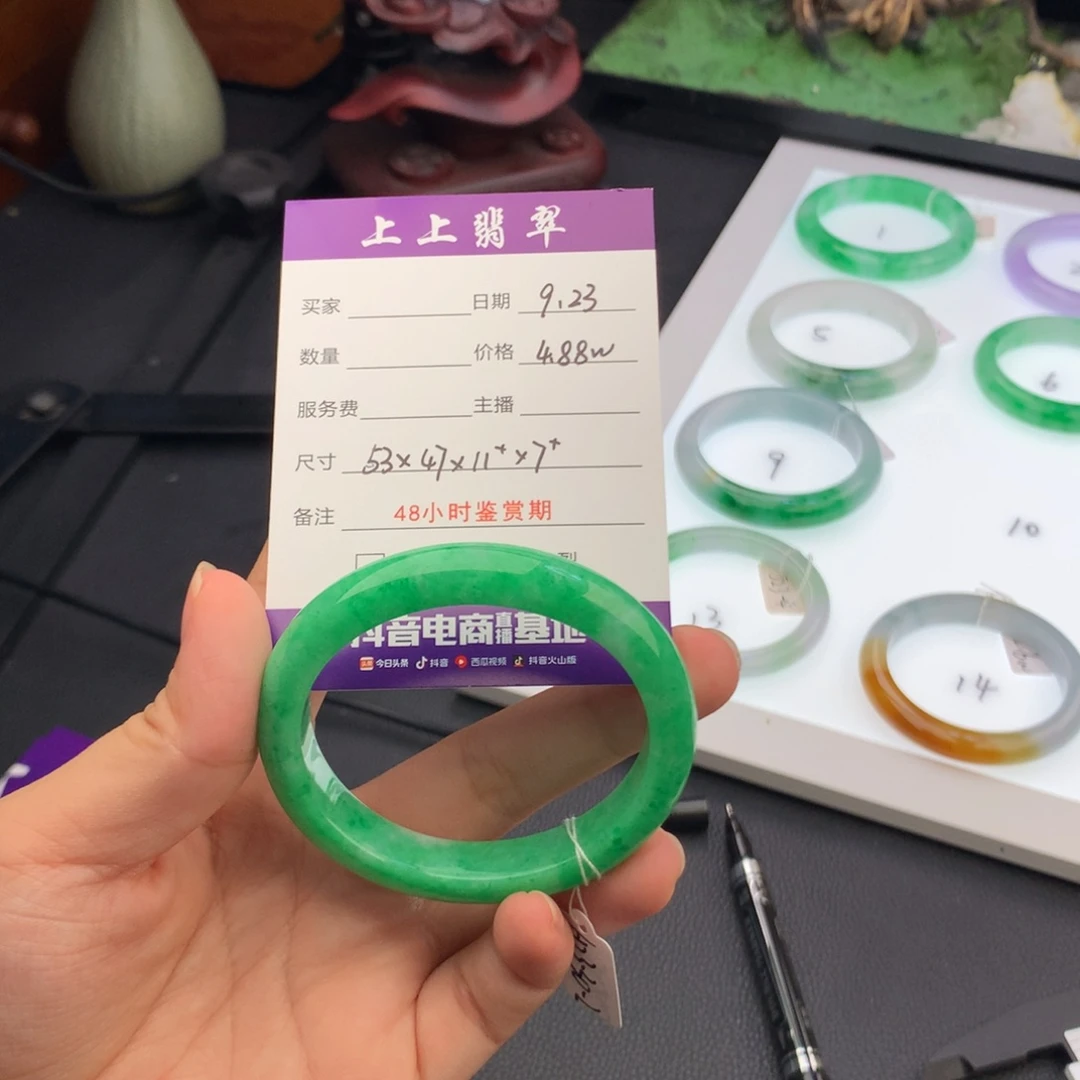 汇****未镶嵌手镯翡翠翡翠手镯