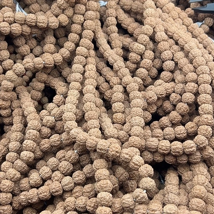 夏***初金刚菩提手串谢谢